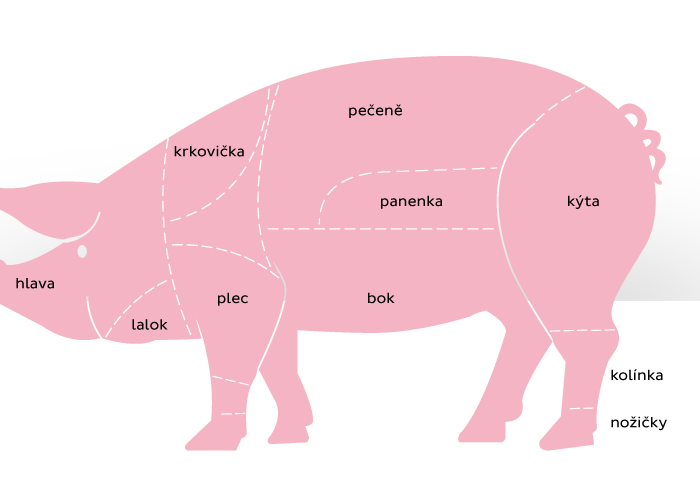 Víte kde je panenka, plec nebo krkovička?